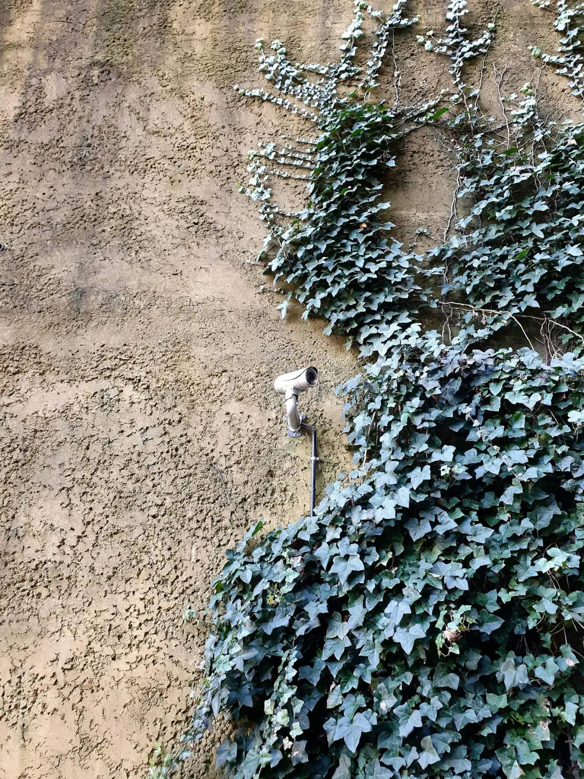 Caméra de vidéosurveillance fixée sur la façade d'une villa — mur ocre et lierre, installation extérieure discrète